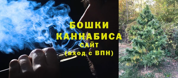 сатива Белоозёрский