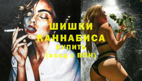 дмт Белокуриха