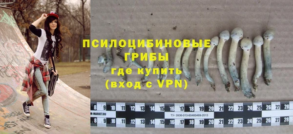 дмт Белокуриха