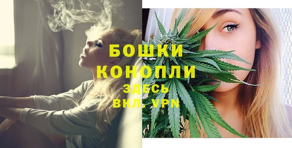 дмт Белокуриха