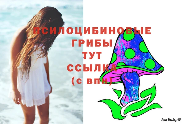 дмт Белокуриха