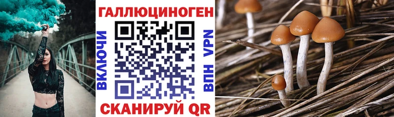 hydra сайт  Пыть-Ях  Псилоцибиновые грибы мухоморы 