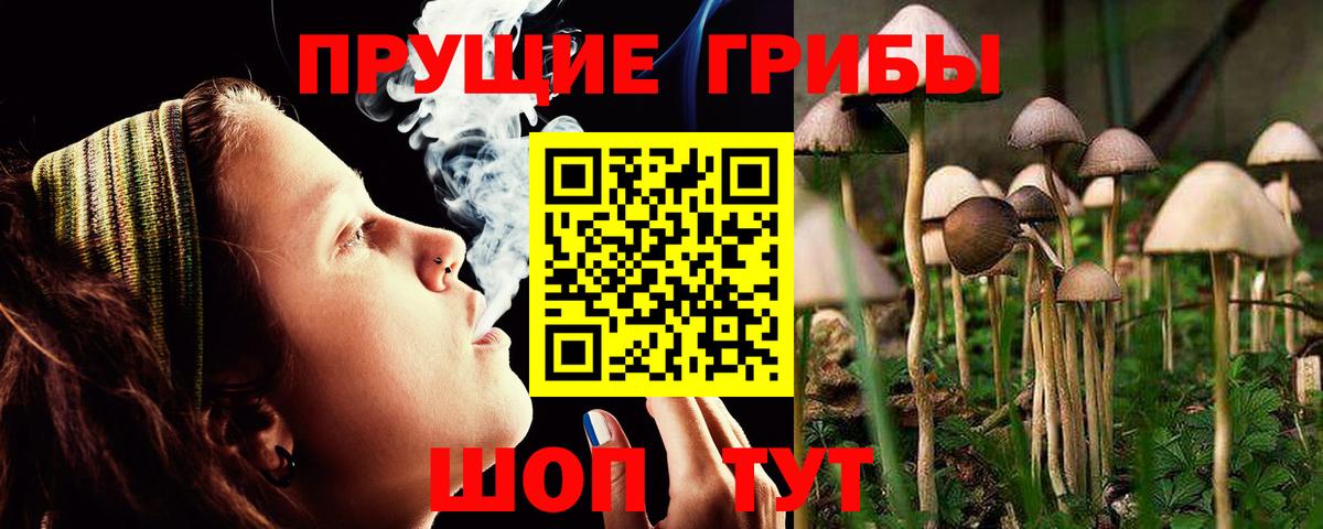 Псилоцибиновые грибы MAGIC MUSHROOMS  Вход с VPN  Пыть-Ях 